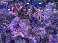 Аметист Amethyst Lux Dark